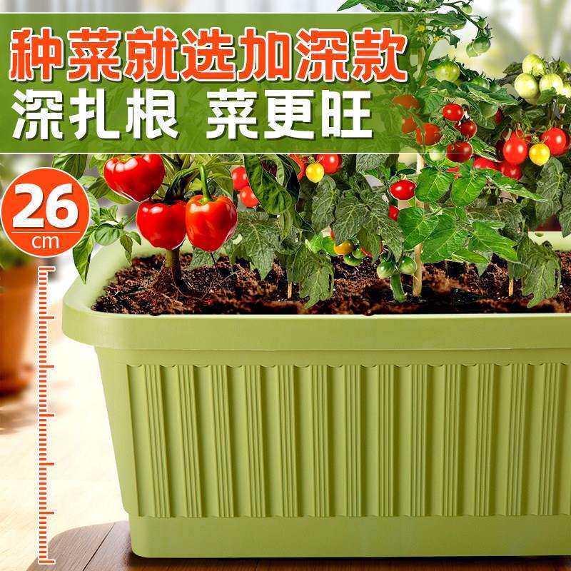 超大超大加深种菜盆塑料长方形架高菜懒人自吸水用花盆家阳专用台