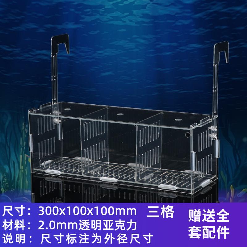 网箱孔雀鱼隔离鱼缸保护斗鱼新款苗鱼单格繁殖鹦鹉鱼透明网鱼生鱼图片
