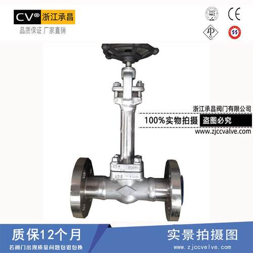 实打 低温锻钢阀门D Z1造1W-150LB 低温锻钢力闸阀超低温阀门