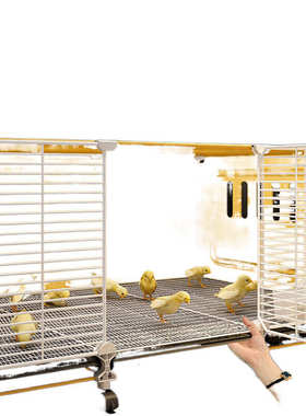 p9j芦丁鸡养殖笼家用饲养箱专用大号鸡舍防溅小鸡笼子室内加密雏