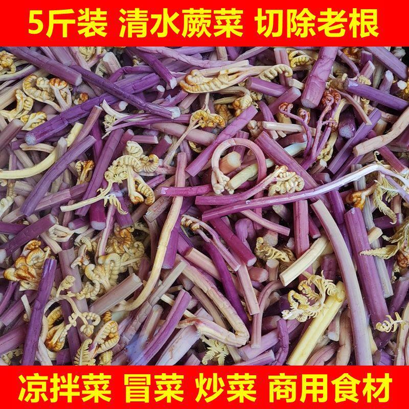 清水蕨菜5斤凉拌菜冒菜新鲜菜蕨菜腌制下饭菜整箱商用