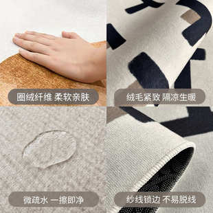 简约卧室地毯可擦洗 现代简约客厅地毯高级轻奢黑色茶几毯家用法式