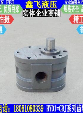 CBJ-5X10X3X8X15X12X20X25X25X35X50X70X100低压磨床齿轮泵 油泵