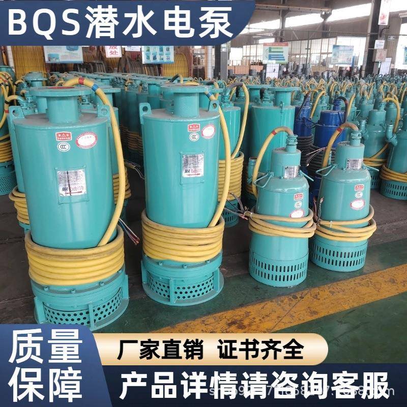 煤安证防爆潜水泵矿用隔爆型排污排沙潜水泵矿用潜水BQS100-20-11