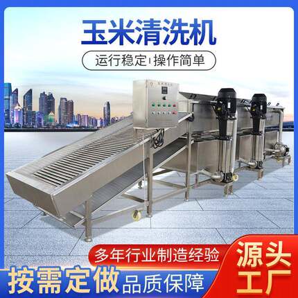全自动不间断玉米清洗机玉米全套加工设备大型玉米多功能清洗机