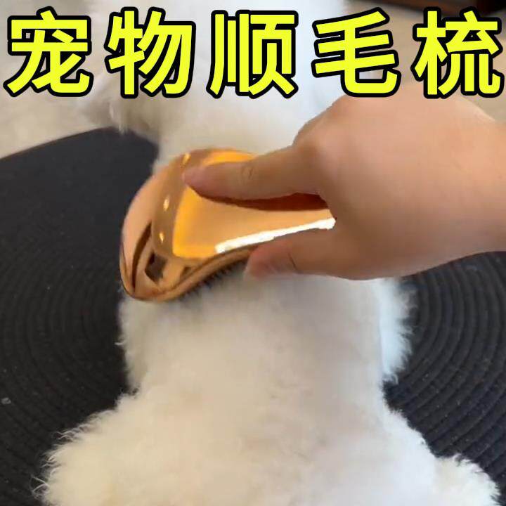 【开结顺毛】宠物按摩梳子泰迪梳毛开结专用宠物按摩梳蓬松小型犬