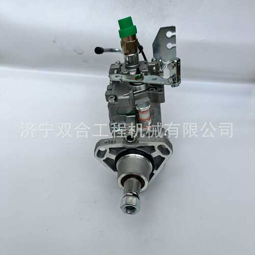 3963961 0460424289 VE4/12F1100R963 现货供应VE燃油泵 柴油泵