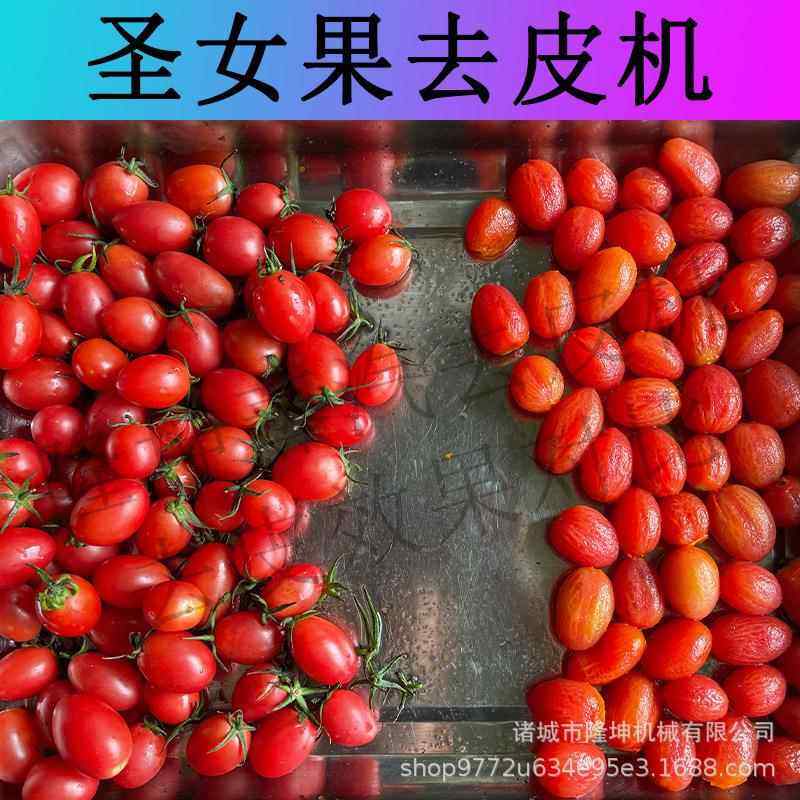 全自圣女果去皮 多功能西机红柿RUN葡萄脱皮机 皮猕猴桃黄桃去动