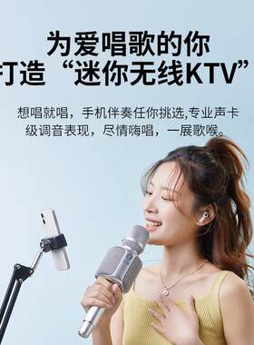 权盟 R2(标椎版)权盟麦克风话筒音响一体内置声卡全民无线 线唱歌