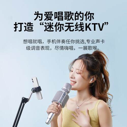 权盟 R2(标椎版)权盟麦克风话筒音响一体内置声卡全民无线 线唱歌