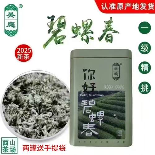 2025新茶苏州西山吴庭碧螺春小叶种茶果混种明前一级精挑100g铁罐