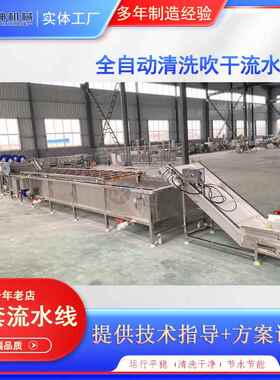 设连续式大洗机 小姜葱清洗生产线 全自清动葱CFK姜清洗备节能水