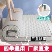 加厚四季 床垫家用软床垫学生宿舍单人双人榻榻米海绵垫褥子出租房