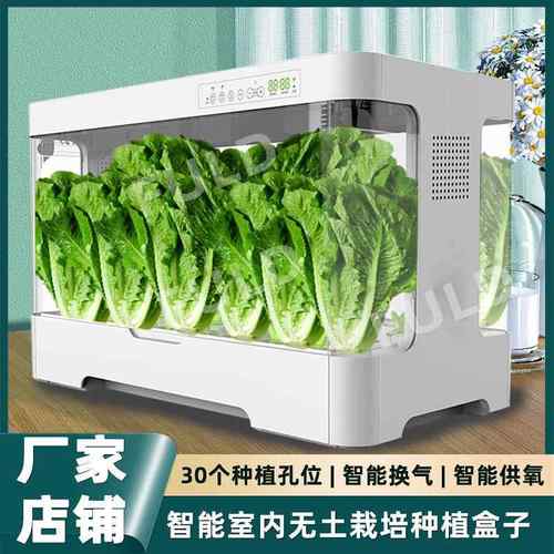 室内种植蔬菜水培盒子桌面种菜箱盆景绿植盆智能种植盆花盆