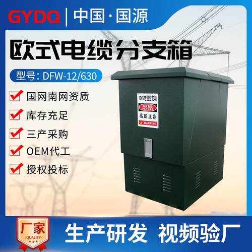 国源DFW高压电缆分支箱DFW-12/630a户外10kv不锈钢欧式电缆分接箱