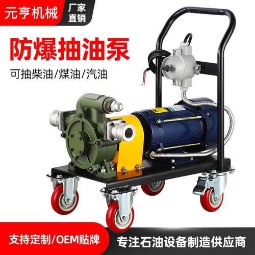 大流量汽油柴油防爆自吸抽油泵快速卸油设备12V24V220V80v抽油泵