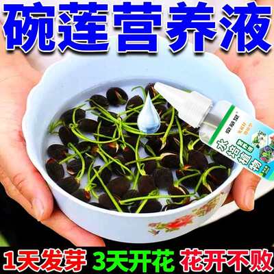 花肥养莲营养液肥料花卉水培一叶莲碗绿色植物睡莲水溶观赏