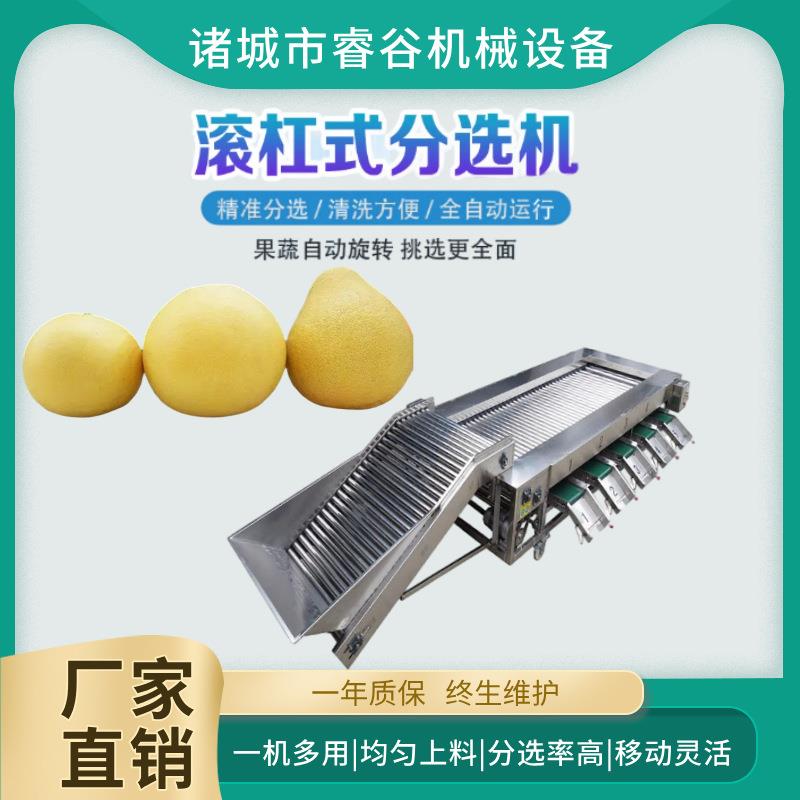 蜜桔商用不锈钢分选机红柚分选机粑粑柑分级机芦柑自动分级设备
