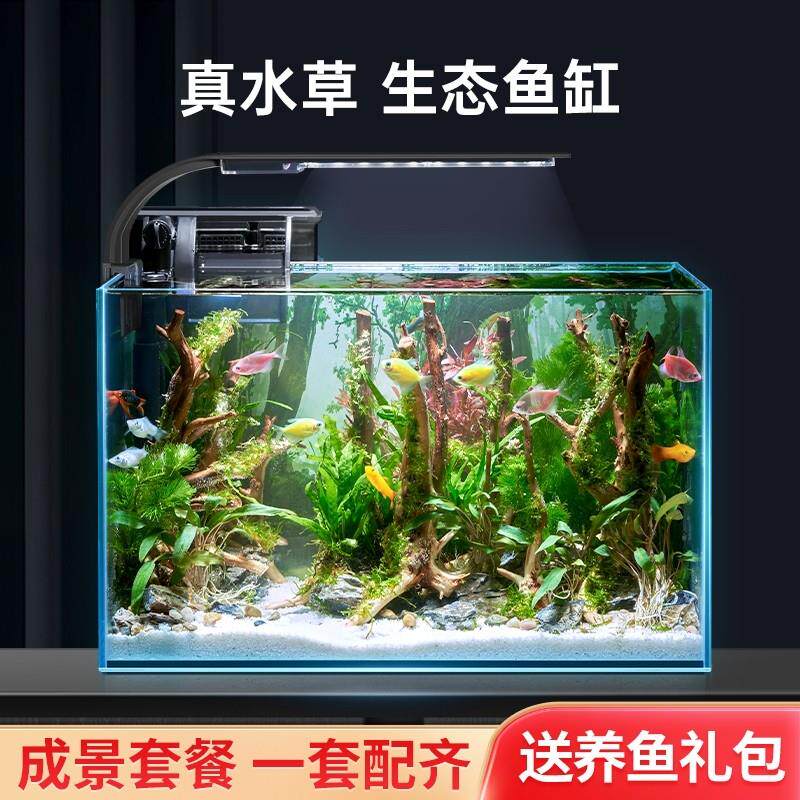 鱼缸水族箱超白玻璃客厅小型迷你桌面免换水家用小金鱼缸生态造景