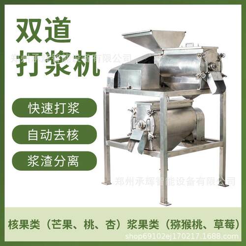 全自动工厂直销大型芒果枇杷去核打浆机商用专业高效易清洗