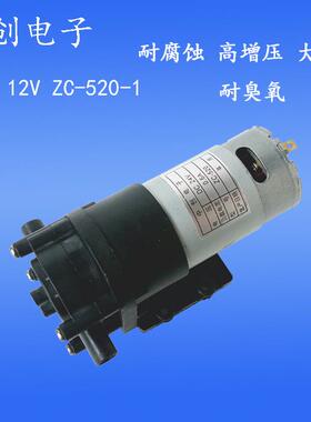 中创水泵12v520-1耐腐自吸泵大流量自齿轮泵耐臭氧增压泵柴油泵