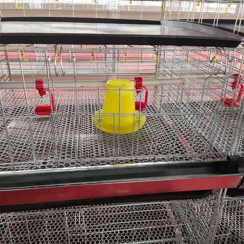 育雏XZP笼养养鸭鹅子养殖育雏苗H型立体式殖场养育笼雏鸡笼机蛋械