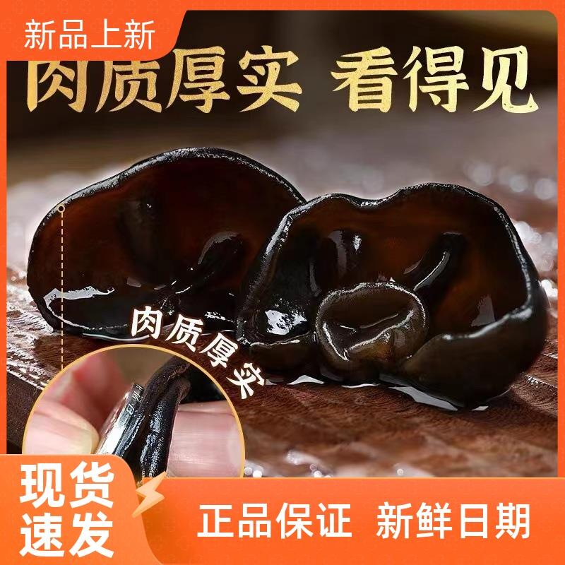 东北特产秋木耳500g袋装黑木耳肉厚无根全干 干散装椴木小碗木耳
