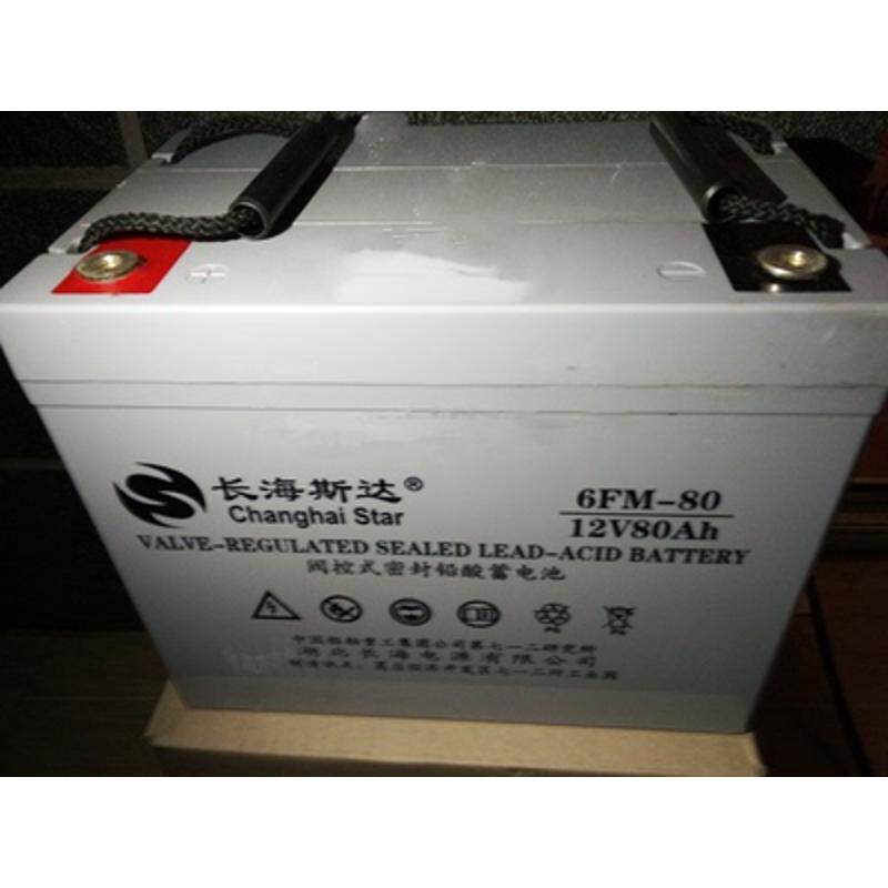 长海斯达蓄电池6FM-100/12V17A24A38A65A100A120A150A200AH直流屏