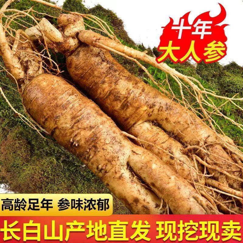 500g特大新鲜人参野山参东北长白山人参鲜参带土现挖现卖泡酒煲汤