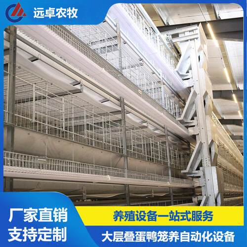 四层H型框架式自动化蛋鸡笼养 陕西汉中大层叠蛋鸭笼养鸭设备