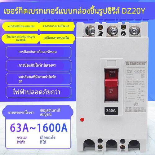 DZ20Y-100A 160A 225A 250A 400A 630A 空气开关塑壳断路器DZ20C