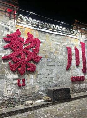 打卡墙字体城市名花艺墙背景仿真花网红人气假花立体设计拍照布置