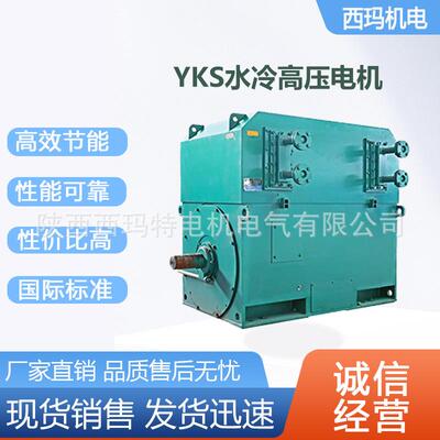 西安电机YS-400-6极500W10V高压鼠笼型三相异步电动机厂