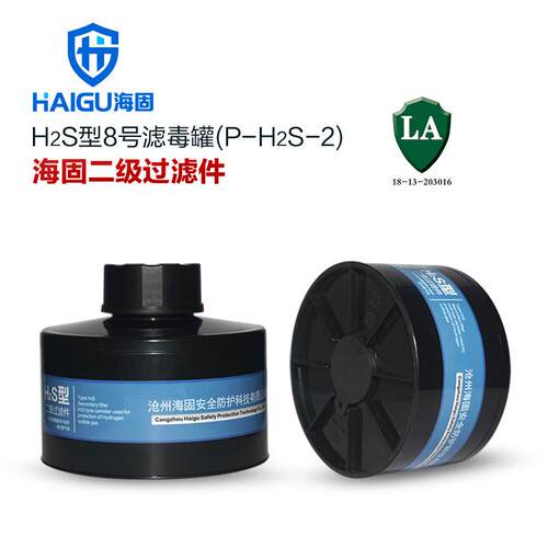 海固HG-ABS/P-H2S-2级滤毒罐 硫化氢 氨气滤毒罐 硫化氢防护