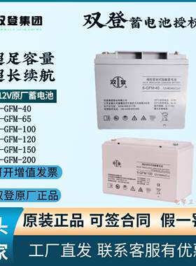 双登铅酸免维护蓄电池6-GFM-100 6-GFM-65 6-GFM-40UPS直流屏
