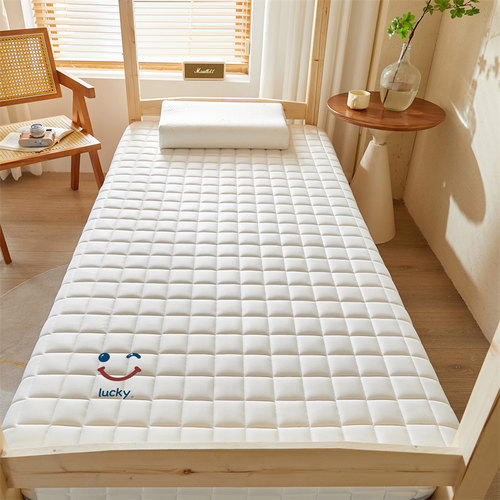 厂家直销厂家包邮冬夏两用凉席床垫遮盖物家用软垫学生宿舍单人榻