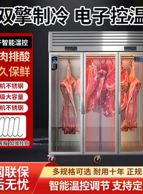 挂肉柜商用生鲜肉牛羊肉冷藏保鲜冰柜吊肉柜挂式排酸柜立式展示柜