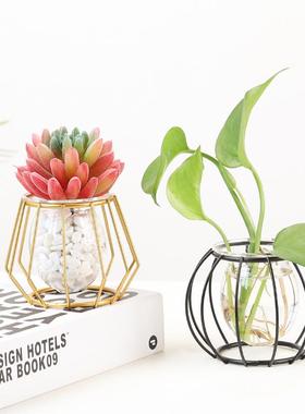 热卖新款铁艺水培摆件创意家居装饰盆栽绿植北欧风客厅桌面摆饰