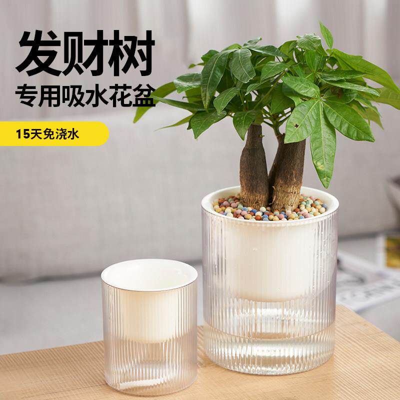 水培花盆小发财树专用盆透明植物器皿自动吸水盆桌面懒人自吸水