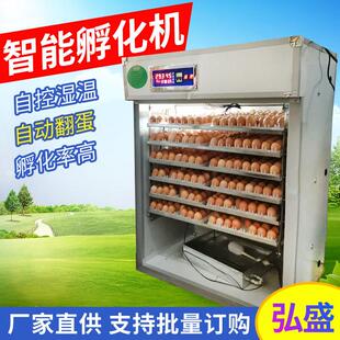 528pcseggs自动孵化机 newtypeeggincubatorpricefor1056