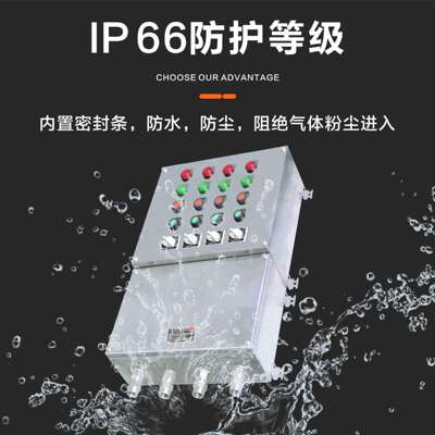 SEXK8061防水防尘防腐防爆控制箱控制柱石油平台防震抗冲击IP66FW