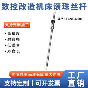 数控仪表车床机床改造研磨滚珠丝杆FL2004 数控改造丝杠 FD3206