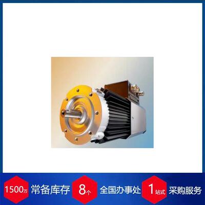 德国HANNING-ELEKTRO真空泵用工业电机SIZE80系列
