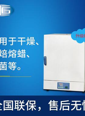 上海厂家销售热空气自然对流干燥烘箱DHG-9031A灭菌恒温箱