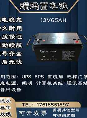 RIMA瑞玛蓄电池UN-12V65AH 监控 消防机柜 UPS电源主机 电梯门禁