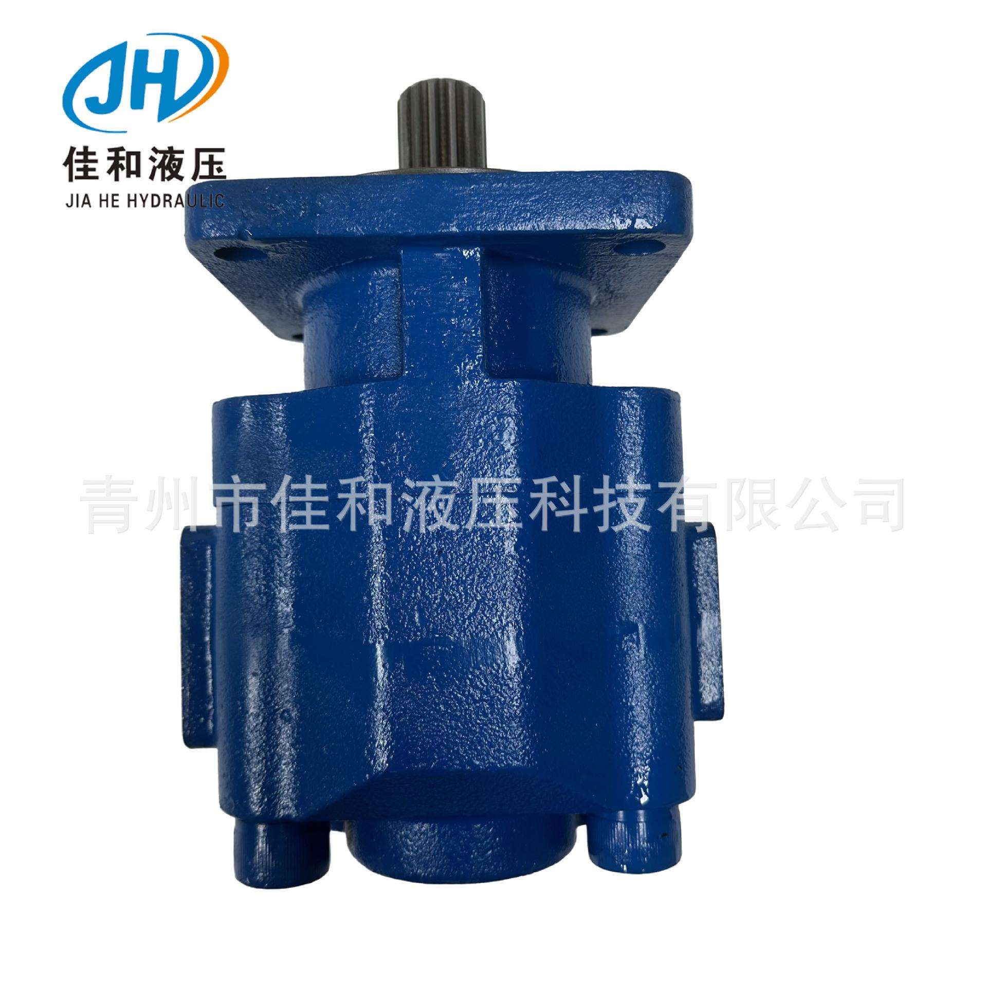 11c1069各种规格 厂家齿轮泵 JHP3080