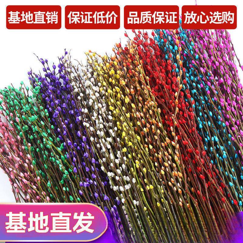 【】年宵花卉银柳真花鲜枝水培植物客厅装饰干花红柳耐寒花卉
