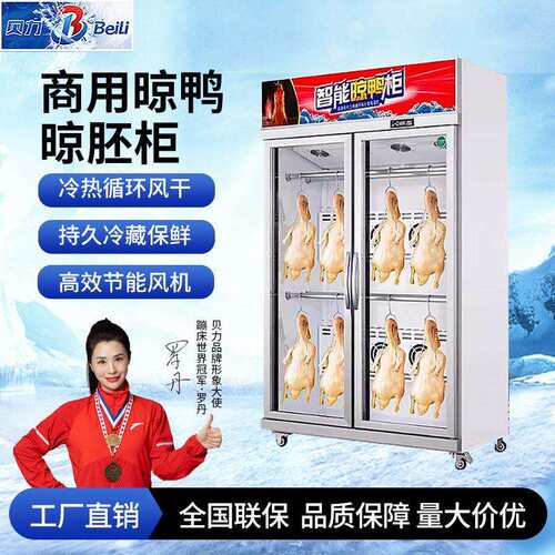 晾鸭柜商用智能晾胚柜烤鸭乳鸽晾肉柜除湿冷藏保鲜柜烧腊风干柜