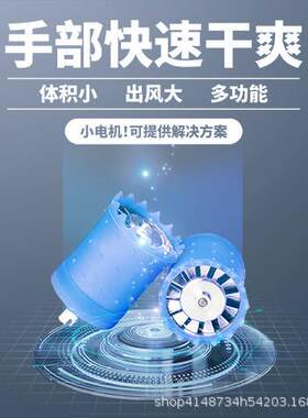 干手机暴力风扇吹风筒无刷电机大功率马达24V220V高速电
