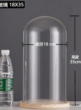 厂家跨境永生干花玻璃装饰摆件